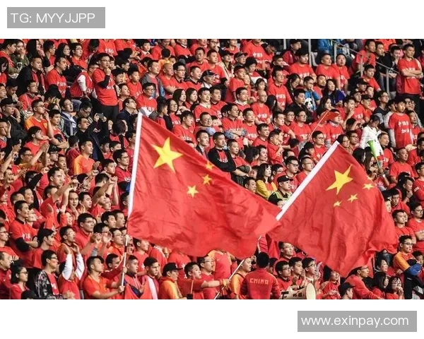 武汉足球队的崛起之路：揭秘他们背后的力量与荣耀