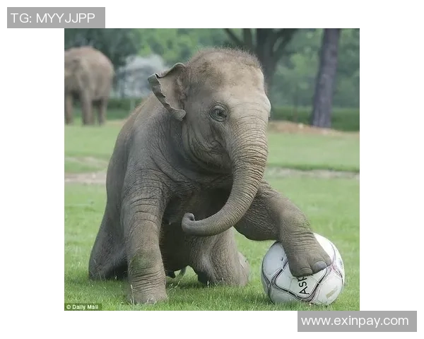 奇葩足球明星名字大揭秘让你大开眼界的奇特球员名字与形象合集